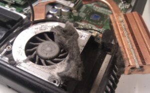 Overheating Due to Dirty Fan